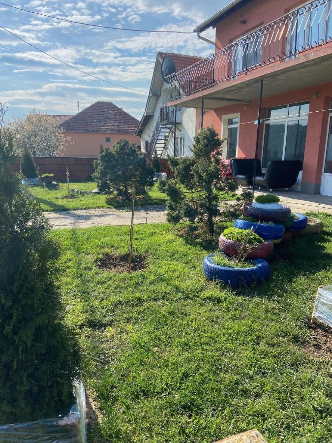 Apartman Pejović Kladovo Zewnętrze zdjęcie