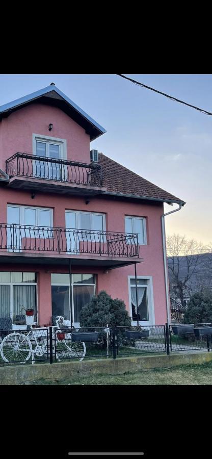 Apartman Pejović Kladovo Zewnętrze zdjęcie